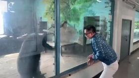 国产牛奶翻车视频网站