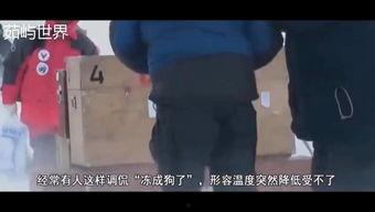 国产各种冰棍视频,夏日消暑神器，冰爽口感一网打尽