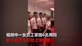 国产女S调教免费视频,揭秘神秘诱惑背后的真实故事
