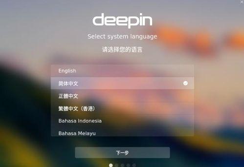 国产轻客比拼视频教程